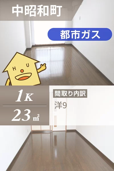 中昭和町 マンション 1K 308のお部屋の特徴