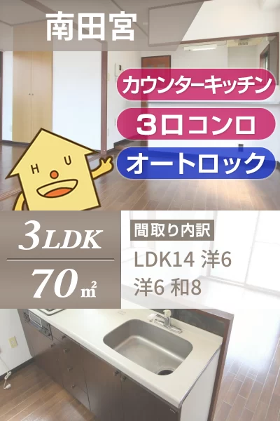 南田宮 マンション 3LDK 202のお部屋の特徴