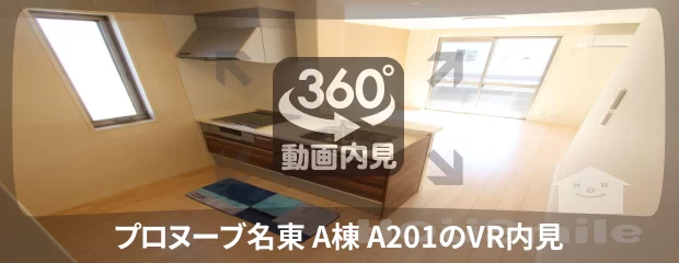 プロヌーブ名東 A棟 A201の360動画