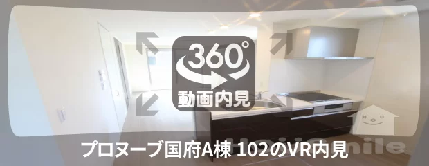 プロヌーブ国府A棟 102の360動画