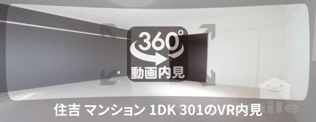 住吉 マンション 1DK 301の360動画