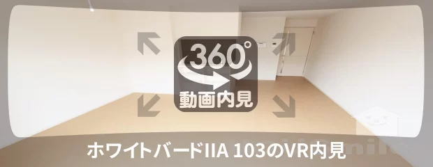 ホワイトバードIIA 103の360動画