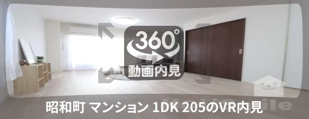 昭和町 マンション 1DK 205の360動画