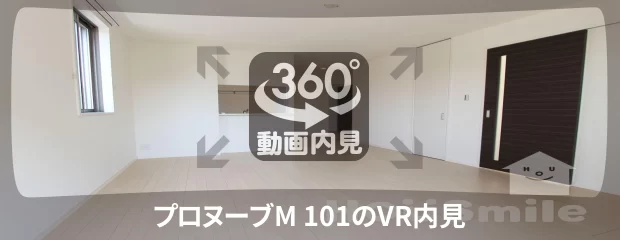 プロヌーブM 101の360動画